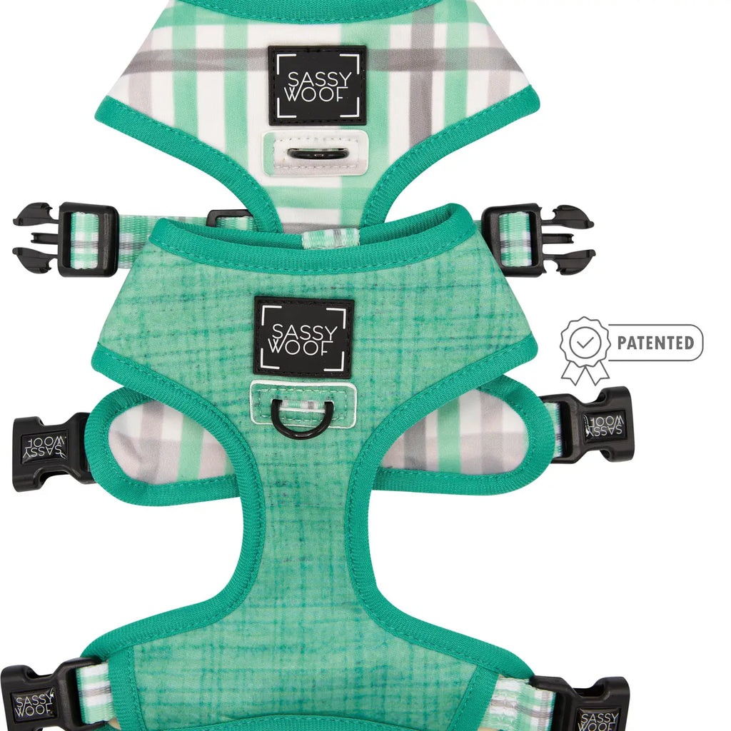 Wag Your Teal Dog Reversible Harness
