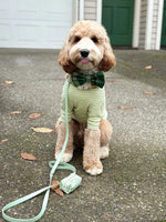 Pistachio Green Waterproof Cloud Dog Leash