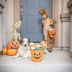 Tricks for Treats Bone For Dogs