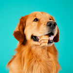 Project Hive Chew Treats Peanut Butter Large 9oz