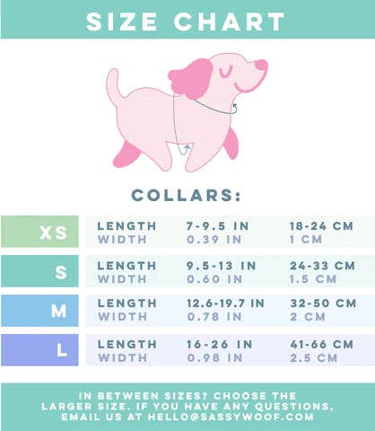 Dog Collar - Summer Sorbet