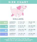 Dog Collar - Summer Sorbet