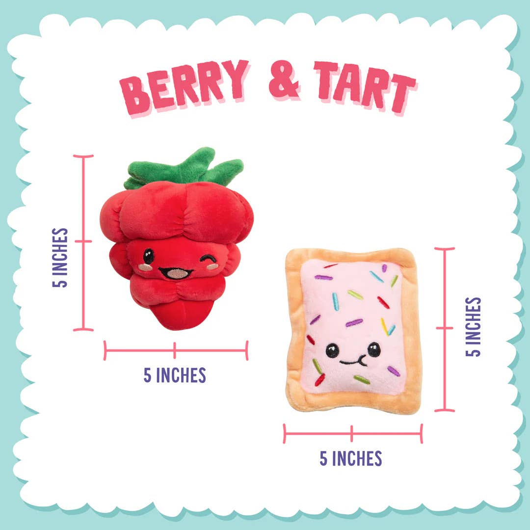 SnugArooz Poptart and Raspberry Plush Dog Toy 2pk