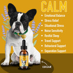 CBDDOG CALM: Travel, Noise & Stress Support for Dogs
