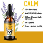 CBDDOG CALM: Travel, Noise & Stress Support for Dogs