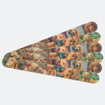 Dog Nail File Emory Board Golden Retrievers