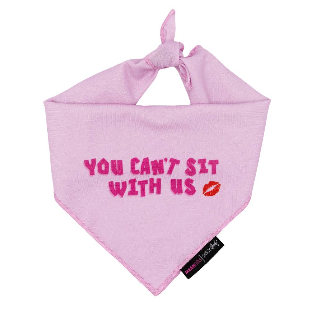 Dog Bandana - Mean Girls™ You Can't Sit With Us