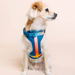 Atlas Dog Harness | Blue No Pull Multi Walk Style Harness