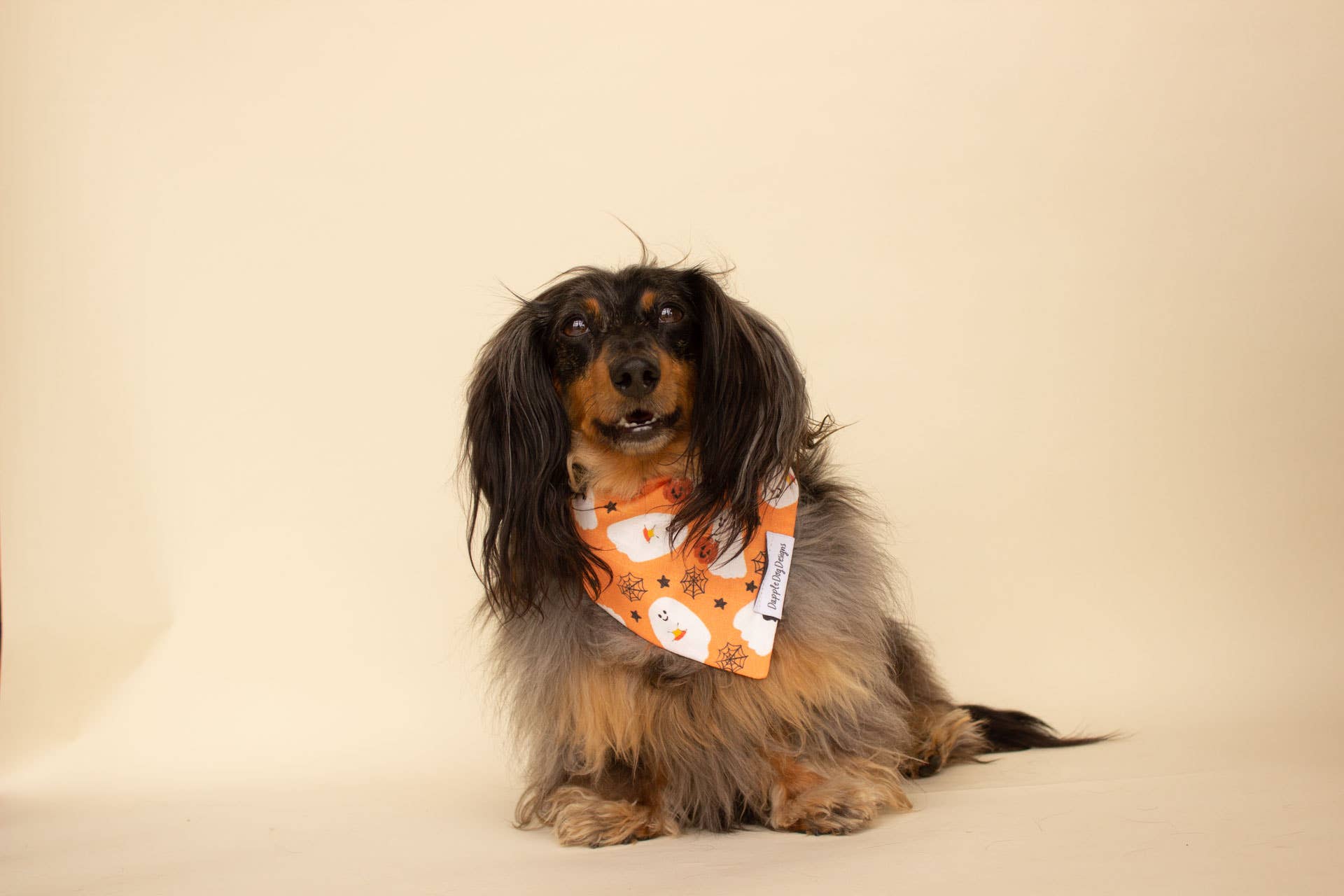 Friendly Ghouls Bandana - Halloween Dog Bandana