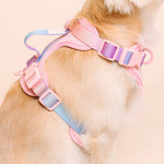 Diem Dog Harness | No Pull Dog Harness | Pink Dog Harness