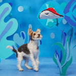 BARK Sting Crosby the Ray