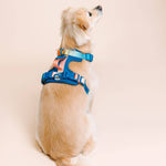 Atlas Dog Harness | Blue No Pull Multi Walk Style Harness