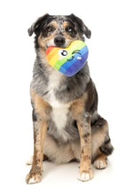 FuzzYard Can't Think Straight Plush Dog Toy