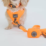 Dog Waste Bag Holder - Neon Orange