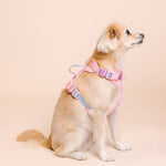 Diem Dog Harness | No Pull Dog Harness | Pink Dog Harness