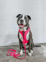 Dog Adjustable Harness - Neon Pink