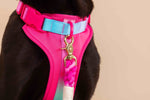Stasia Dog Harness | No Pull Dog Harness | Pink Dog Harness