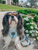 Dog Adjustable Harness - Blumond