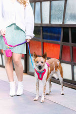 Stasia Dog Harness | No Pull Dog Harness | Pink Dog Harness