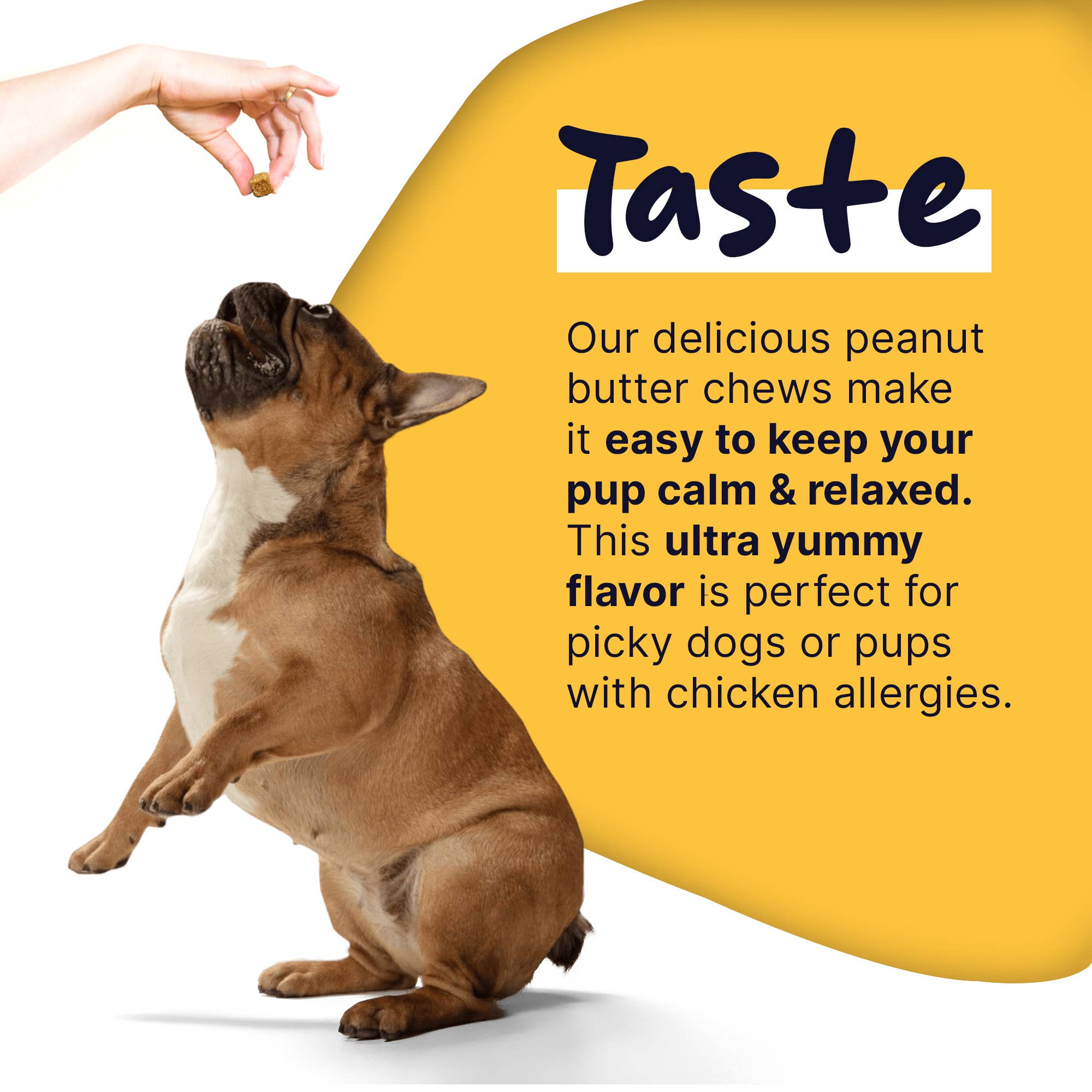 Healthy Pup Calming Soft Chews, Peanut Butter Bliss