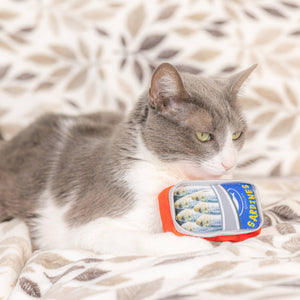 Sardine Tin For Cats