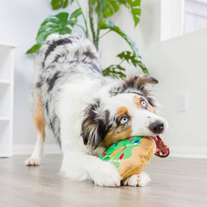 Lit Donut For Dogs