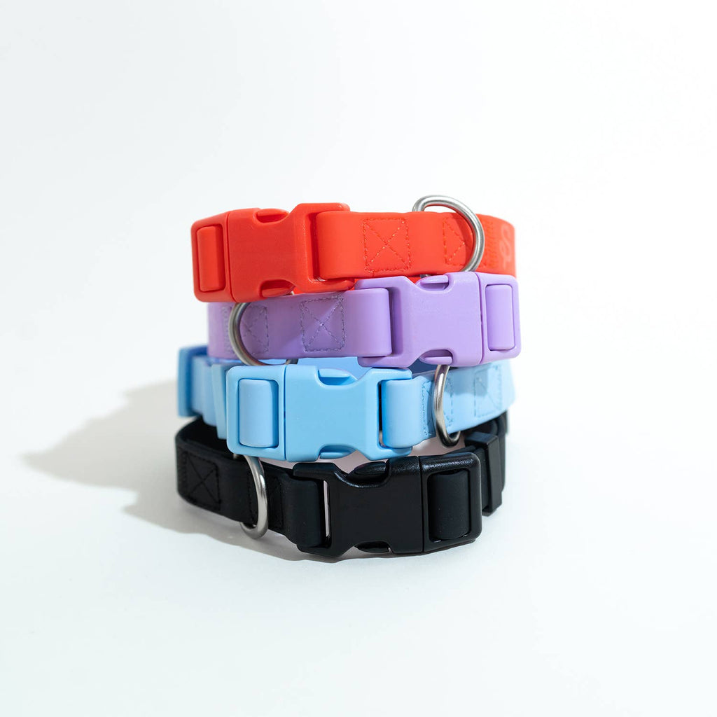 All-Weather Dog Collar