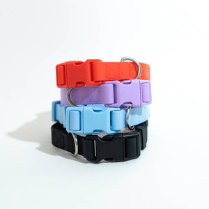 All-Weather Dog Collar