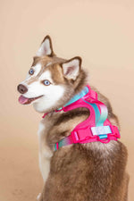 Stasia Dog Harness | No Pull Dog Harness | Pink Dog Harness