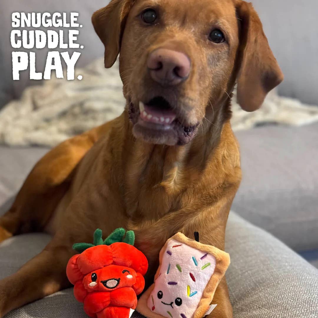 SnugArooz Poptart and Raspberry Plush Dog Toy 2pk
