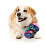 FuzzYard Dog Toy Zombrain Freeze Slushie