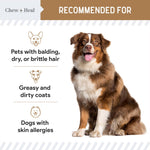 Chew + Heal Peanut Butter Omega Skin + Coat Dog Soft Chews