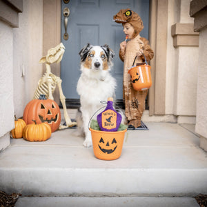 Witch's Brew For Dogs