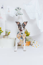 Dog Sailor Bow - Good Duck, Babe!
