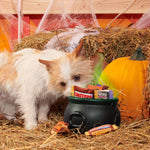 BARK Howl-O-Ween Candy Plush Dog Toy