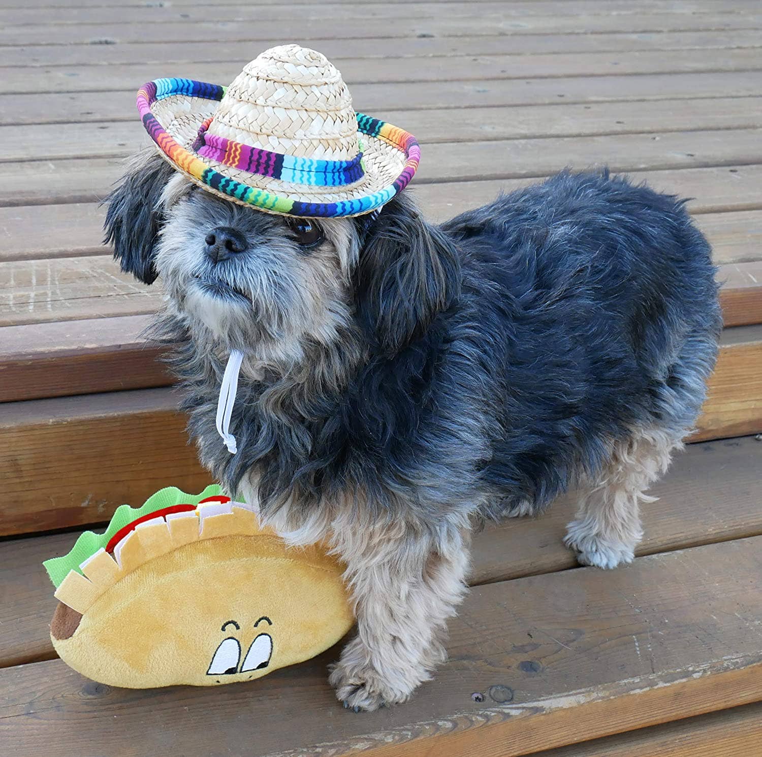 Taco Plush Toy