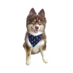 Christmas Reversible Elf Dog Bandana