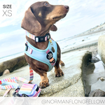 Adjustable Harness - SHERBET SUNSET