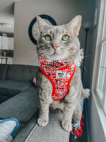 Cat Collar - Hello Kitty® Red Classic