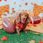 Dog Collar - Burgundy