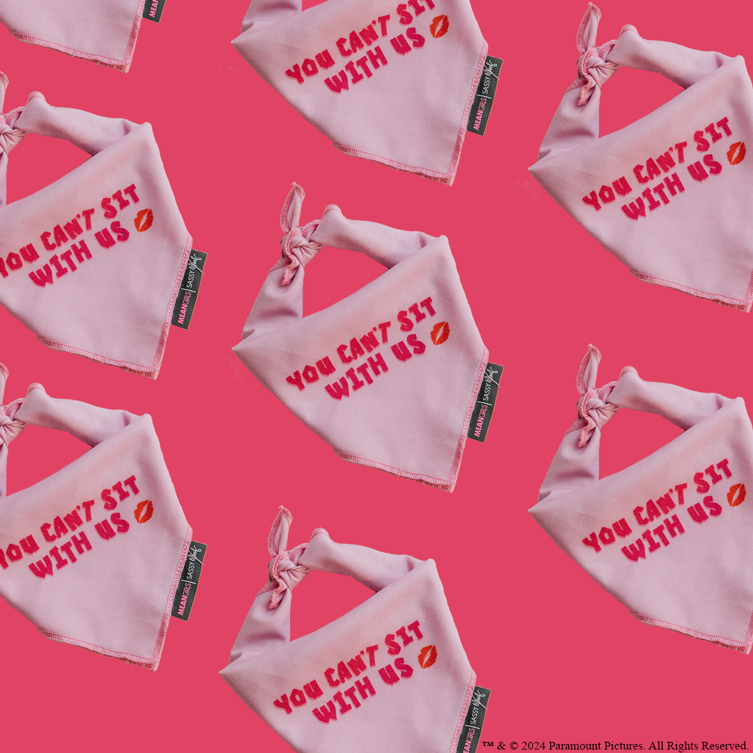 Dog Bandana - Mean Girls™ You Can't Sit With Us