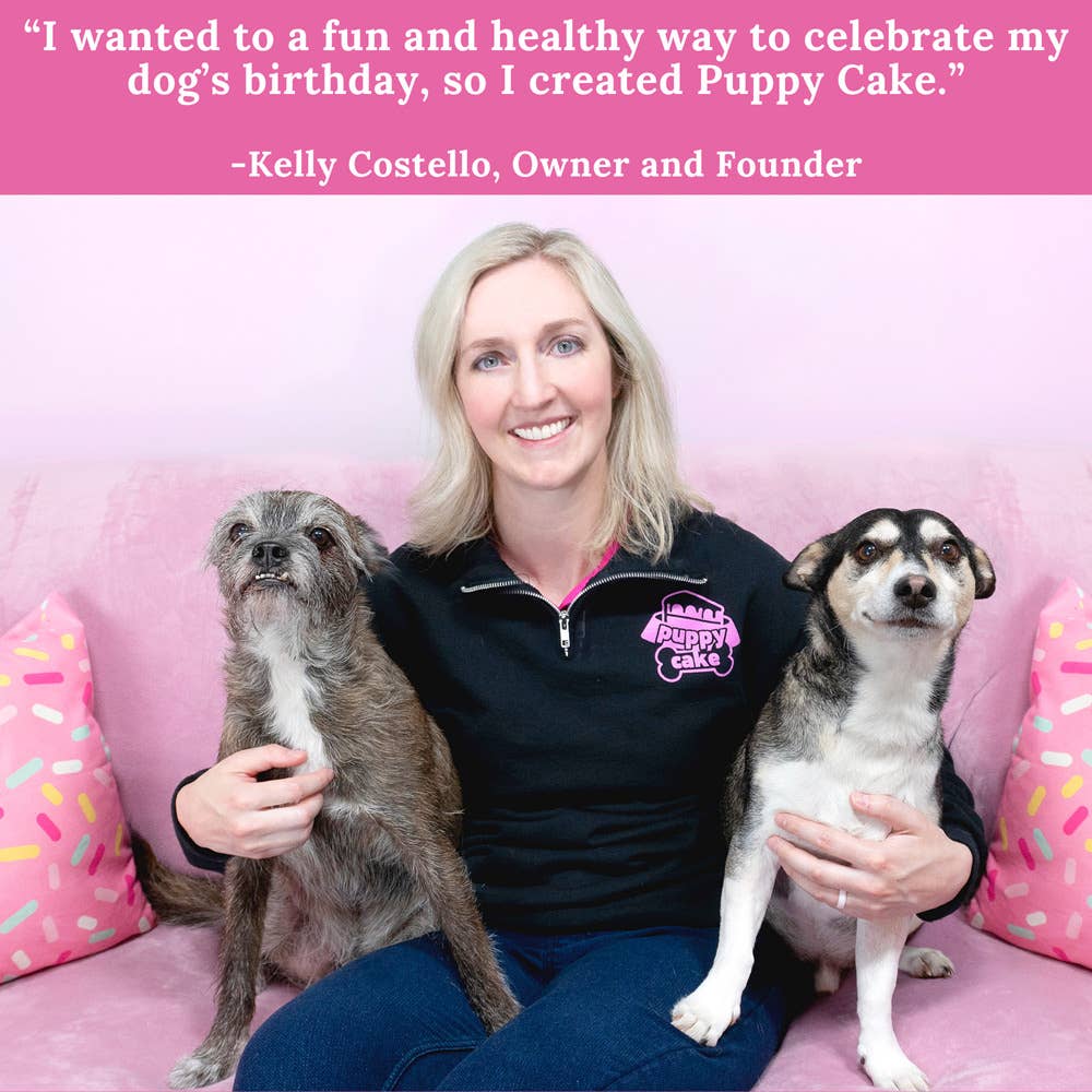 Puppy Cake - Dog Birthday Cake Mixes with Icing