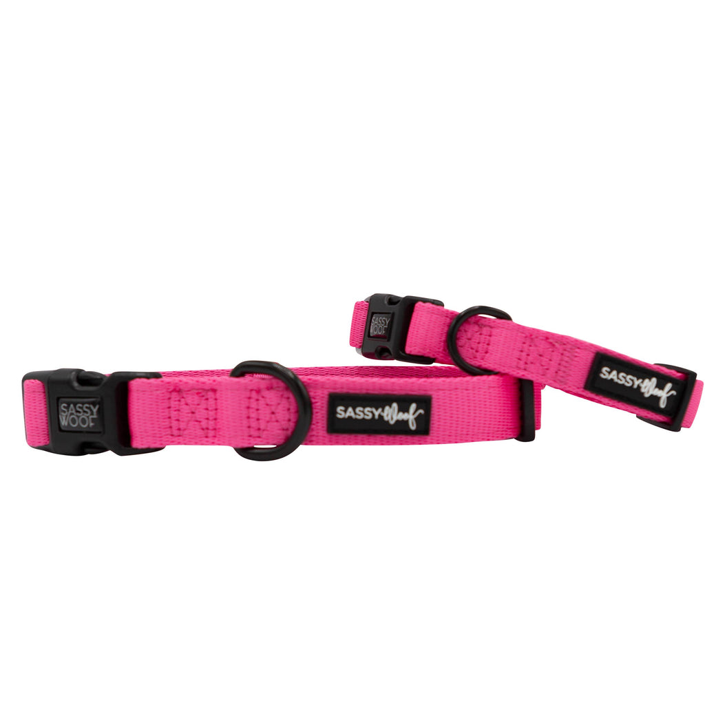 Neon Pink Dog Collar