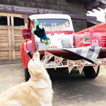 PetShop by Fringe Studio Hustle, Hit, Never Quit Dog Toy