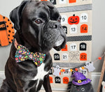 Green Halloween dog bow tie