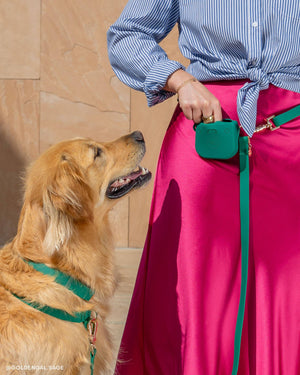 Perfect Pink Snap Dog Treat Pouch