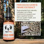 Lion's Mane Mushroom Extract