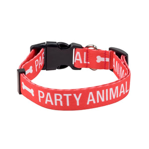 Party Animal Dog Collar