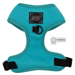 Neon Blue Adjustable Dog Harness