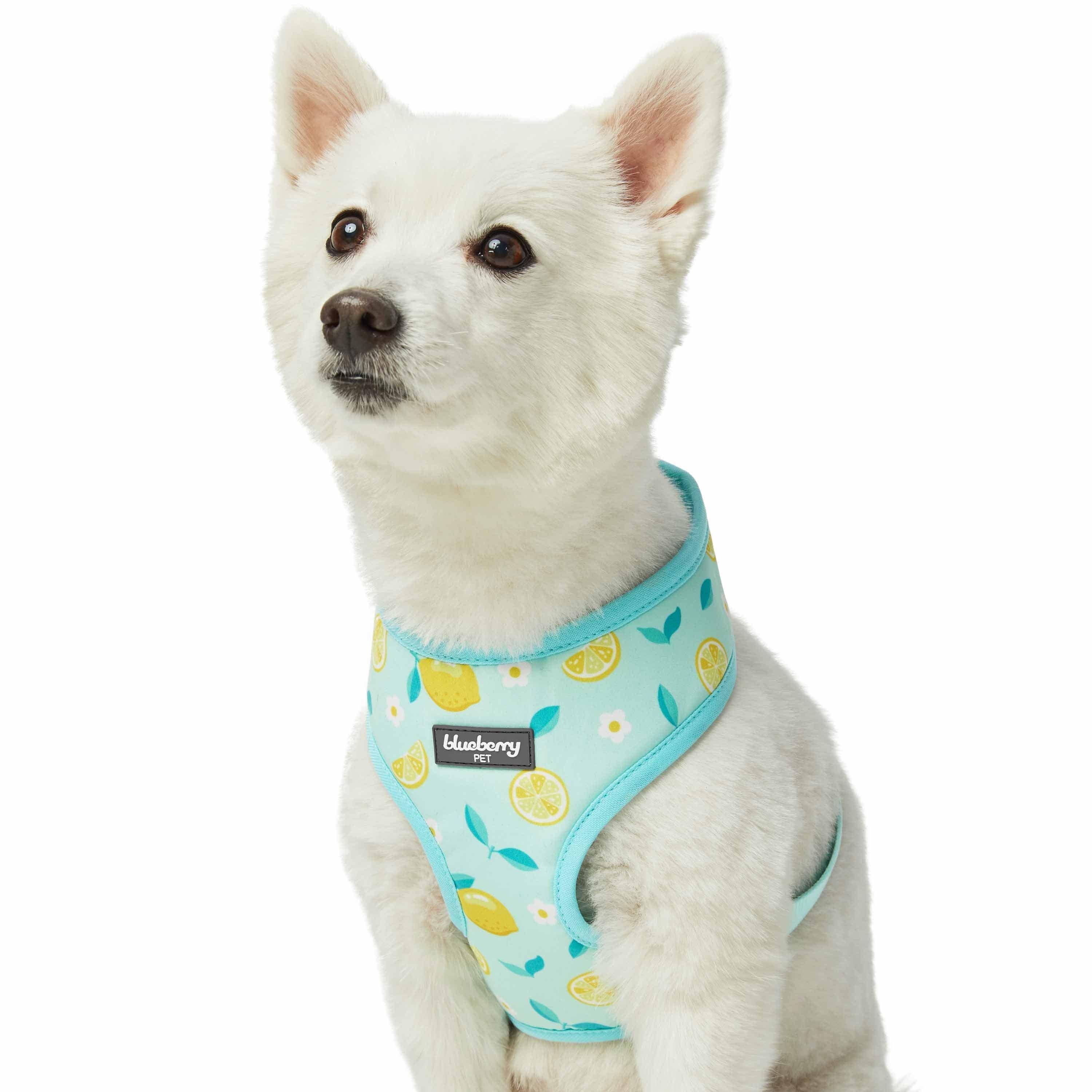 Zesty Fruit Dog Harness Vest